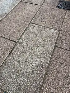 Photo Shared by Maria with their review