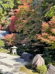 Photo Shared by Tracy with their review